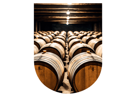 Fermentation alcoolique champagne